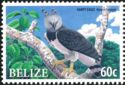Harpy Eagle (Harpia harpyja)